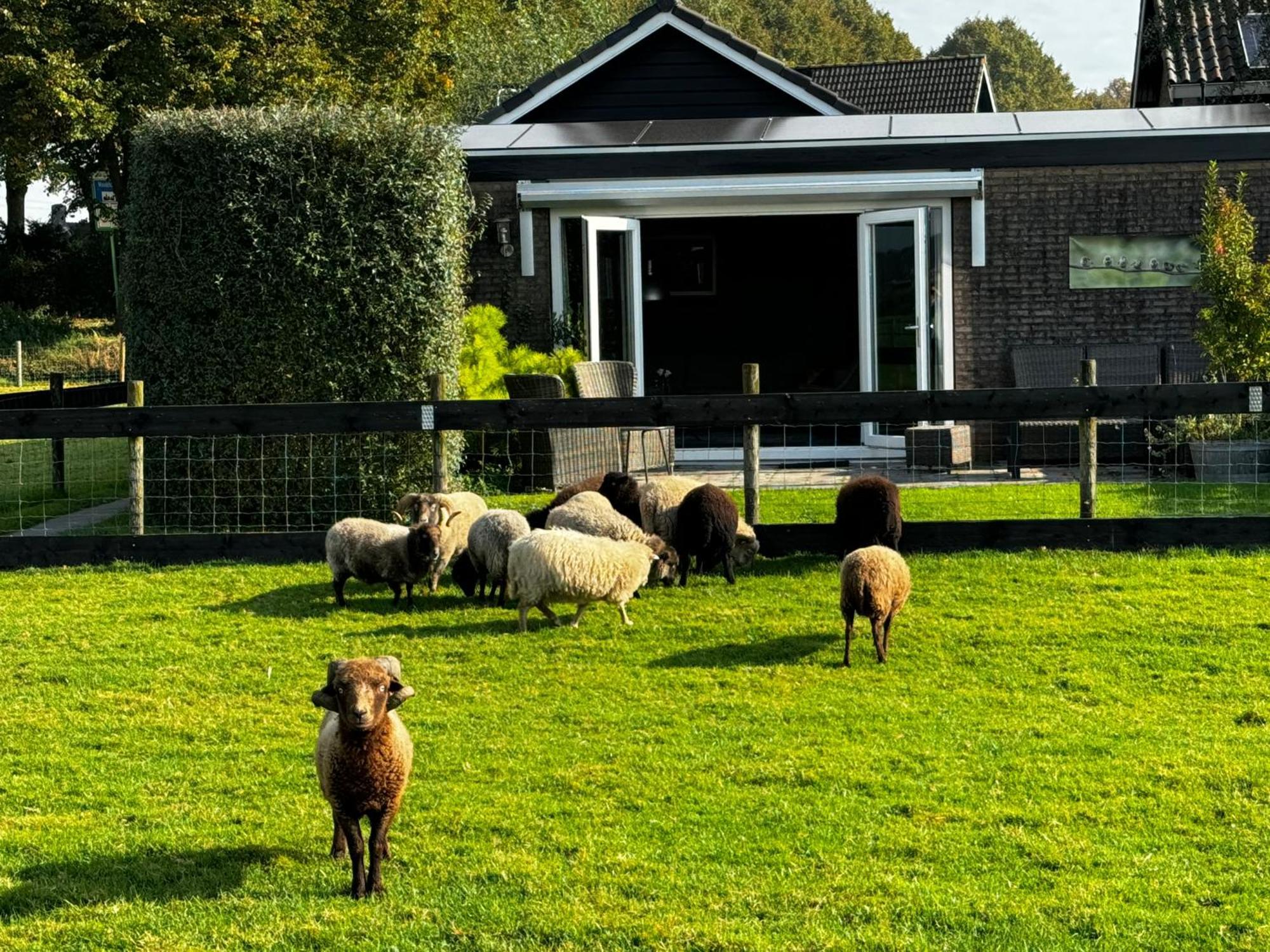 Vakantiewoning Le Garaazje 'S-Gravendeel Exterior foto